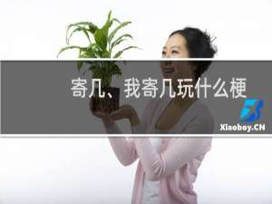 寄几、我寄几玩什么梗
