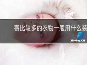 寄比较多的衣物一般用什么装