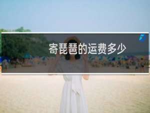 寄琵琶的运费多少