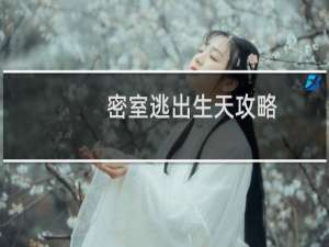 密室逃出生天攻略