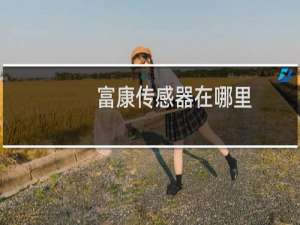 富康传感器在哪里
