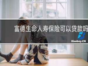 富德生命人寿保险可以贷款吗
