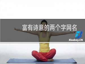 富有诗意的两个字网名