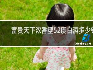 富贵天下浓香型52度白酒多少钱