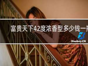 富贵天下42度浓香型多少钱一瓶