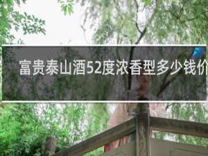 富贵泰山酒52度浓香型多少钱价格