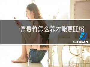 富贵竹怎么养才能更旺盛