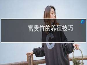 富贵竹的养殖技巧