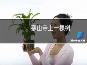 寒山寺上一棵树（寒山寺上一棵竹谜语）