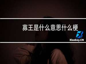 寡王是什么意思什么梗