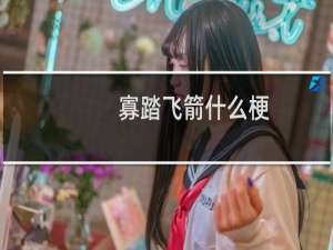 寡踏飞箭什么梗