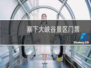 寨下大峡谷景区门票