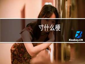 寸什么梗