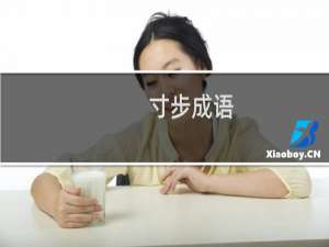 寸步成语
