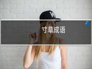 寸草成语