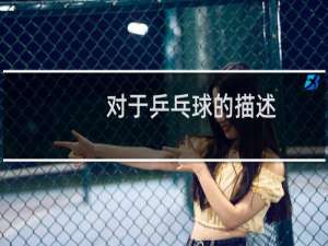对于乒乓球的描述