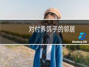 对付养鸽子的邻居