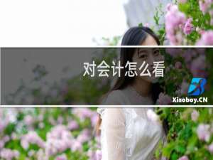 对会计怎么看