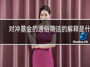 对冲基金的通俗简洁的解释是什么