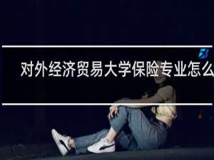 对外经济贸易大学保险专业怎么样