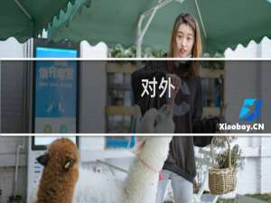 对外