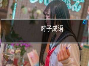 对子成语
