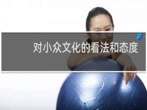 对小众文化的看法和态度