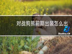 对战狗熊前期出装怎么出
