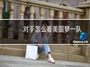 对手怎么看美国梦一队