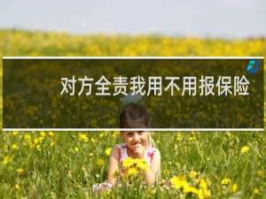 对方全责我用不用报保险