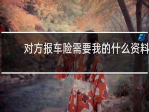 对方报车险需要我的什么资料