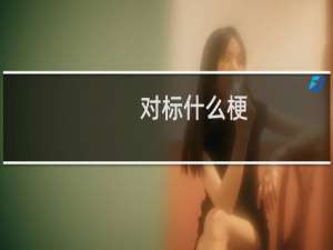 对标什么梗