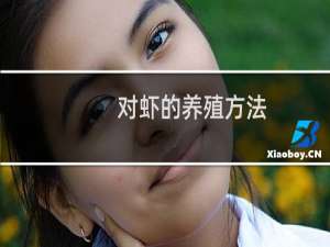 对虾的养殖方法