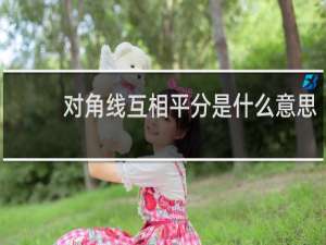 对角线互相平分是什么意思