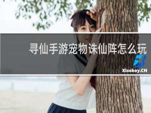 寻仙手游宠物诛仙阵怎么玩
