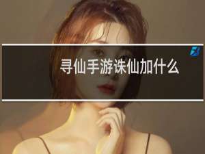 寻仙手游诛仙加什么