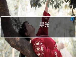 寻光 攻略