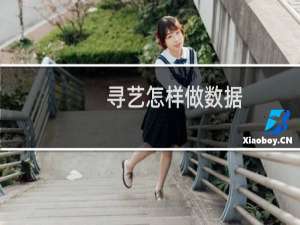 寻艺怎样做数据（寻艺是干什么的）