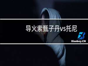 导火索甄子丹vs托尼（导火索 甄子丹）