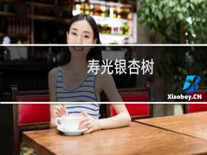 寿光银杏树