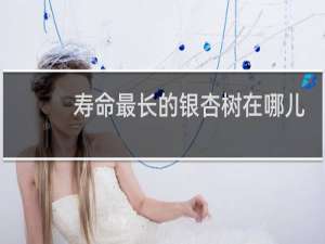 寿命最长的银杏树在哪儿