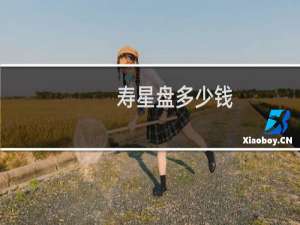 寿星盘多少钱