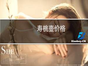 寿桃壶价格