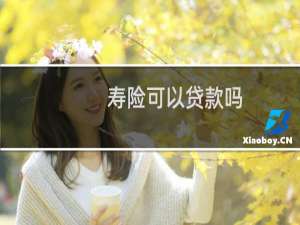 寿险可以贷款吗