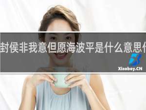 封侯非我意但愿海波平是什么意思什么梗