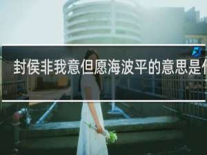 封侯非我意但愿海波平的意思是什么，全诗表达了作者什么样的情怀什么梗