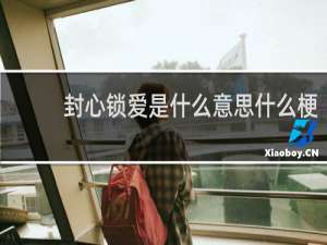 封心锁爱是什么意思什么梗