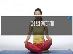 封组词部首