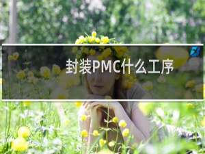 封装PMC什么工序