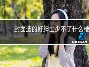 封面选的好绅士少不了什么梗
